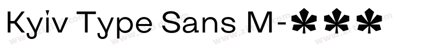 Kyiv Type Sans M字体转换